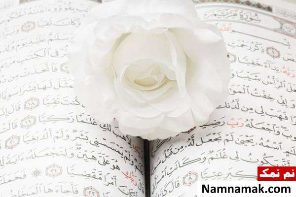 فضیلت و برکات سوره های قرآن
