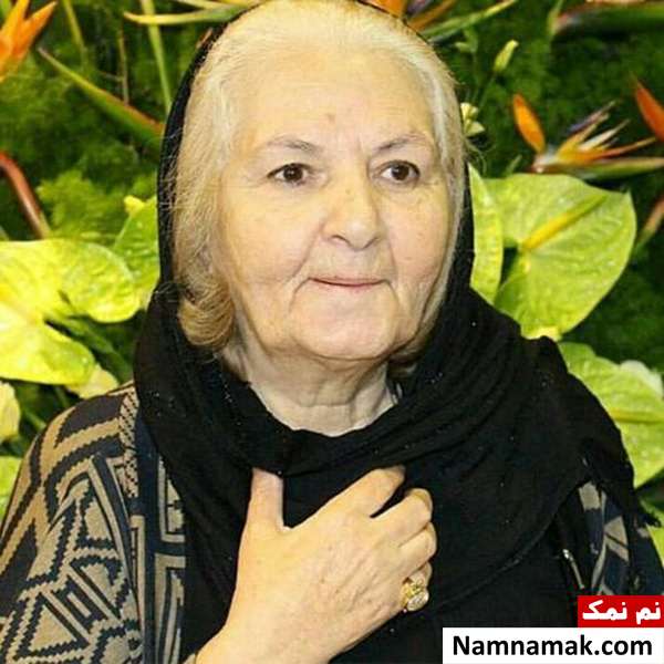 بازیگران ترک سینمای ایران از اکبر عبدی تا امیر آقایی و رضا ناجی مینا جعفرزاده بازیگر ترک سینمای ایران