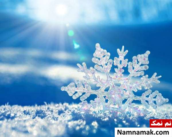 درباره دی به آذر روز ، دومین جشن دیگان در 8 دی دی به آذر ، دومین جشن دیگان