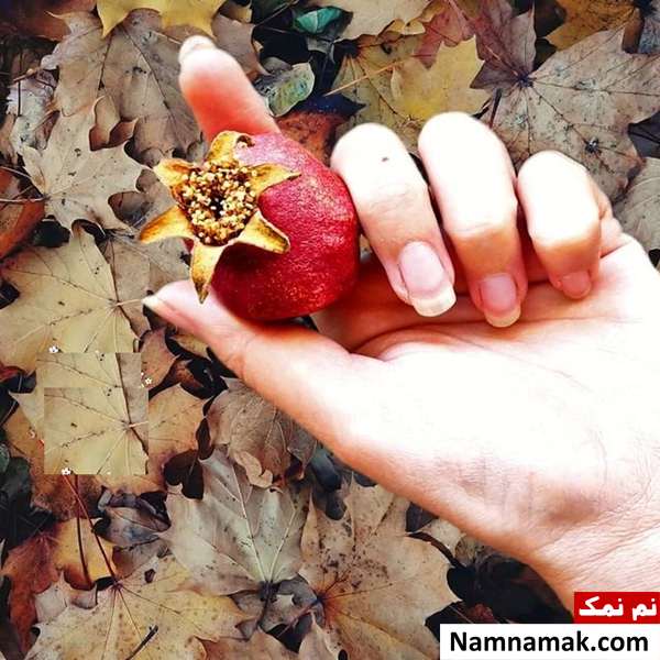 اس ام اس تبریک شب چله باکلاس با متن نوشته