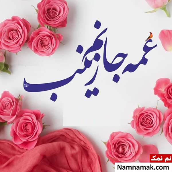تبریک روز پرستار و ولادت حضرت زینب