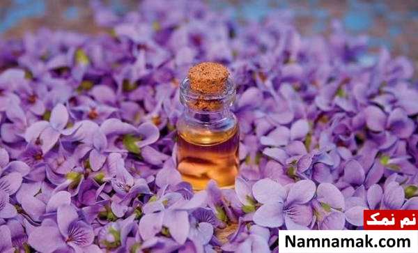 تمام خواص روغن بنفشه و فواید درمانی آن + روش استفاده فواید روغن بنفشه برای پوست