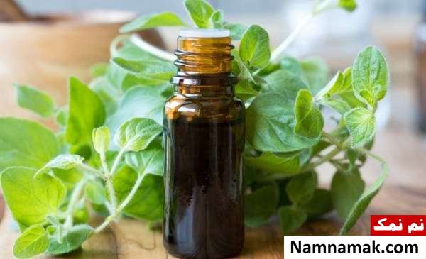 درمان خانگی عالی سرماخوردگی با روغن پونه + روش روغن پونه کوهی برای سرماخوردگی