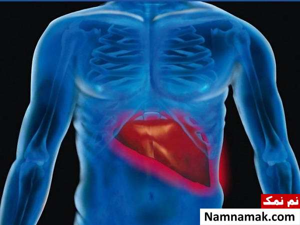 کیست کبد چیست و چه علائمی دارد؟ + خطرات و درمان علل ایجاد کیست کبدی چیست؟
