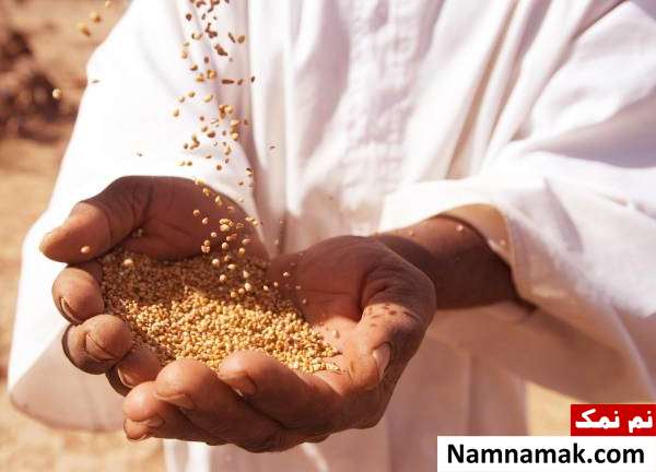 زکات به چه چیزهایی تعلق می گیرد؟