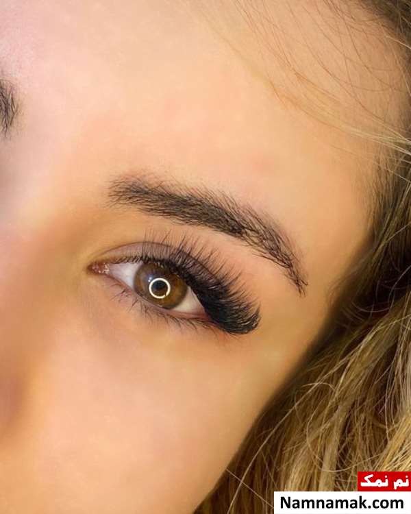 پرایمر مژه