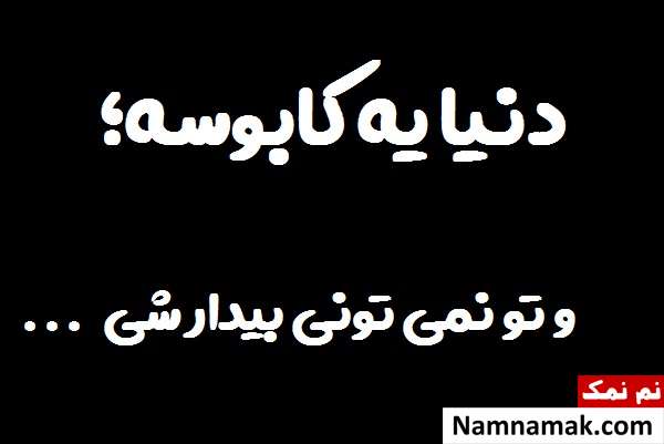 بیو تیکه دار