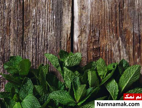 مخترع و تاریخچه اولین مسواک و خمیر دندان تاریخ نعناع گیاهی برای تهیه خمیر دندان