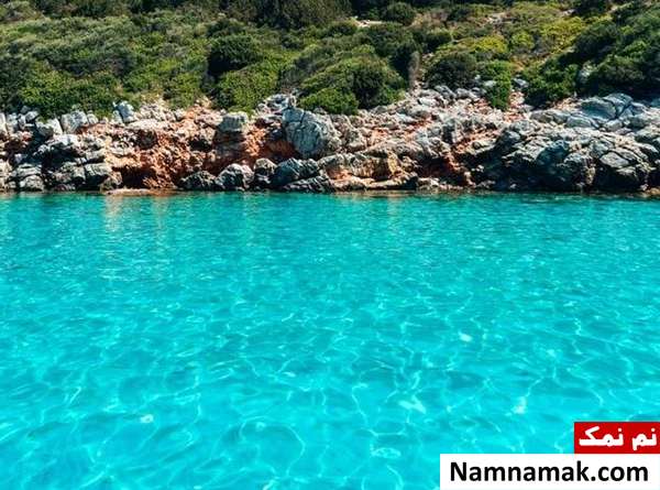 حقایق شگفت انگیز درباره آب ؛ چرا گربه ها از آب میترسند؟ دانستنی های جالب آب