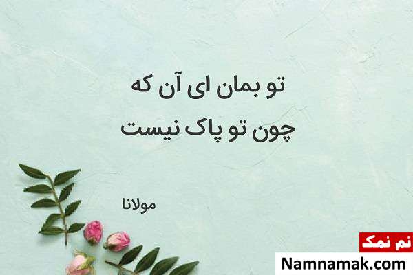 اشعار مولانا 