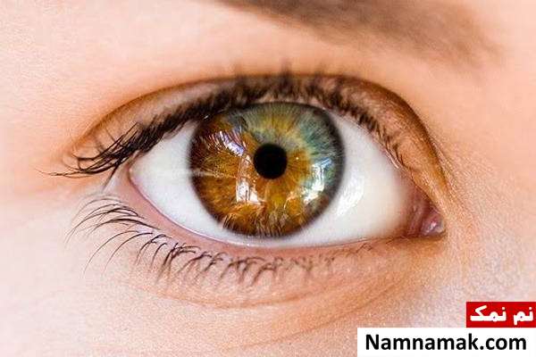 مردمک چشم برای تشخیص سن واقعی افراد