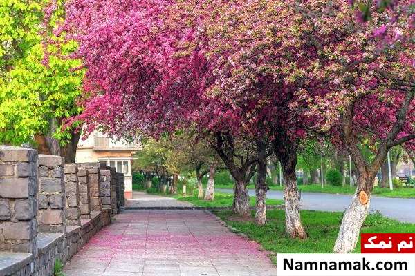 مکان های دیدنی ایران در بهار 