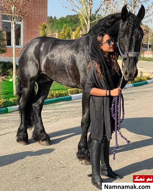 ورزش سینا مهراد