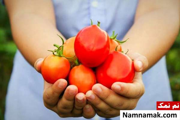 چگونه هنگام خرید گوجه فرنگی خوبی انتخاب کنیم؟ +مشخصات مشخصات گوجه فرنگی خوب