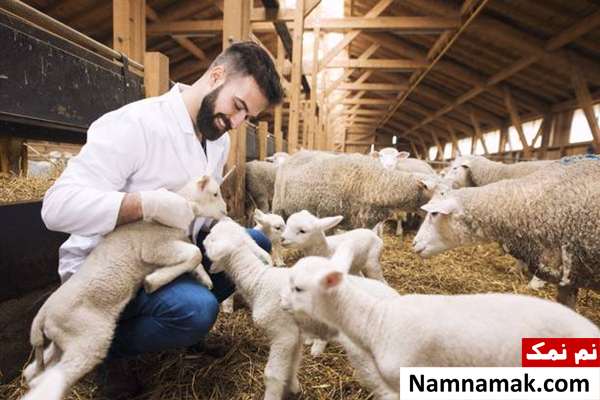 تاریخچه روز جهانی دامپزشک