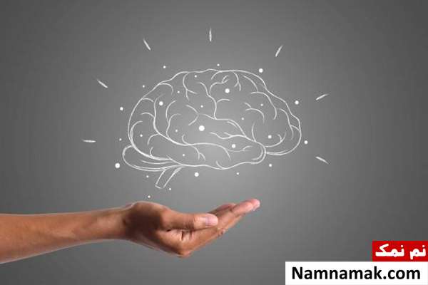 تاثیر تغذیه بر عملکرد مغز