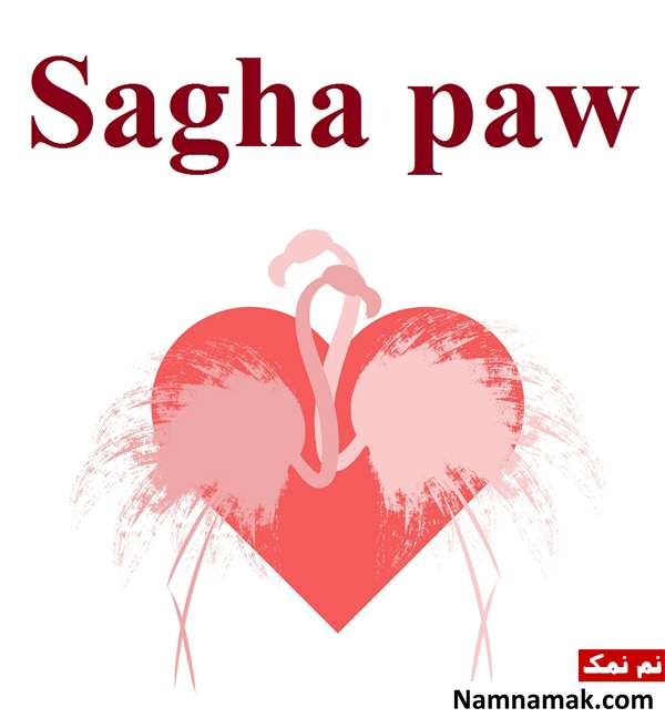 جمله دوستت دارم به زبانهای مختلف جهان دوستت دارم به زبان یونانی - Sagha paw