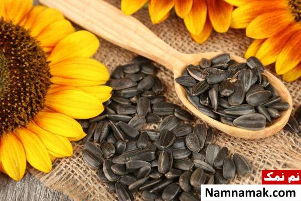 تامین کلسیم بدن بدون لبنیات با این خوردنی ها دانه آفتابگردان برای تامین کلسیم بدن
