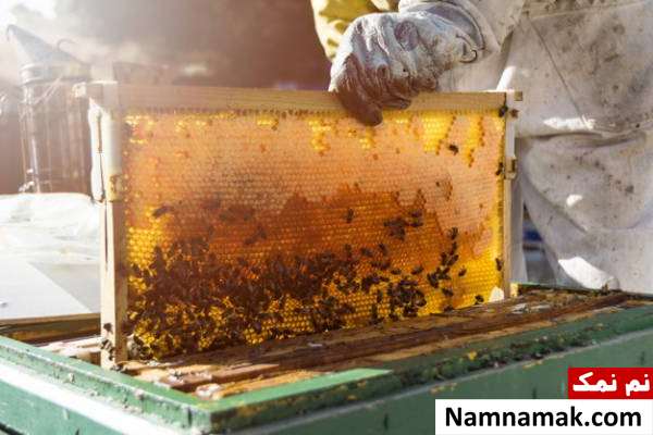 مراقبت از زخم افراد دیابتی با روش های طب سنتی مراقبت از زخم های دیابتی با عسل