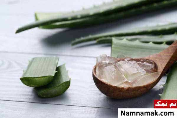 مراقبت از زخم افراد دیابتی با روش های طب سنتی مراقبت از زخم های دیابتی با آلوئه ورا