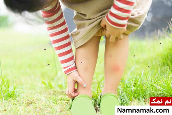 چیکار کنم پشه بچه رو نیش نزنه؟