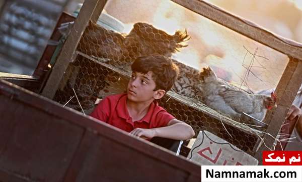 فیلم شبی سیصد