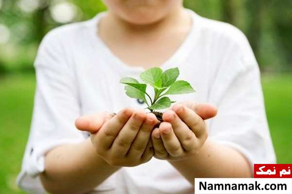 تاریخچه روز جهانی محیط زیست + جملات زیبا جملات زیبا در مورد روز جهانی محیط زیست