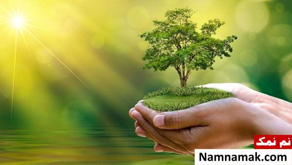 تاریخچه روز جهانی محیط زیست + جملات زیبا داشتن محیط زیست سالم در روز جهانی محیط زیست