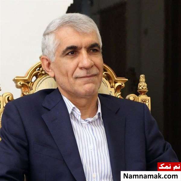 سید محمدعلی افشانی سیاستمدار ایرانی