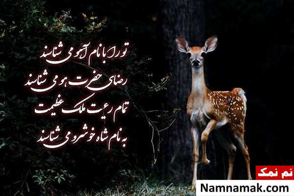 پیام تبریک ولادت امام رضا علیه السلام