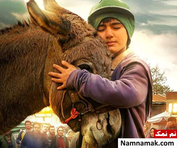 امین علی شهسواری در سینما خر