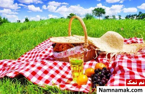 تاریخچه روز جهانی پیک نیک