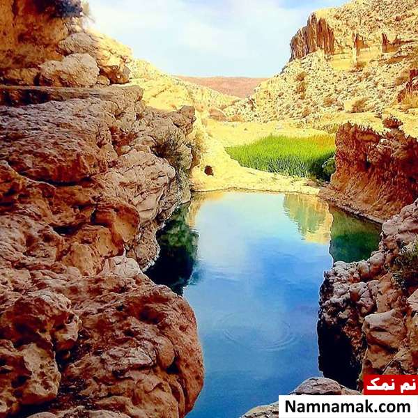 کاربرد ضرب المثل آب را از سرچشمه باید بست
