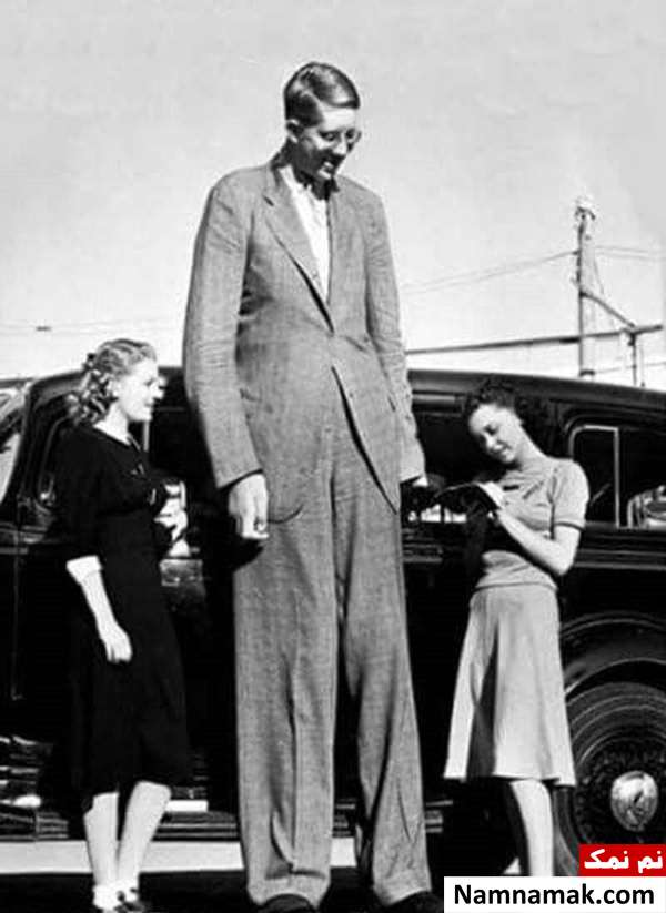 عکس های رابرت وادلو