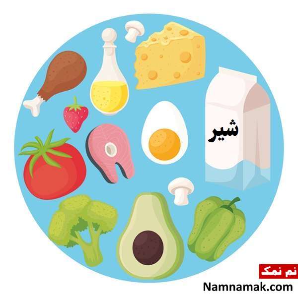 نقاشی غذاهای مفید و مضر برای دانش آموزان و کودکان