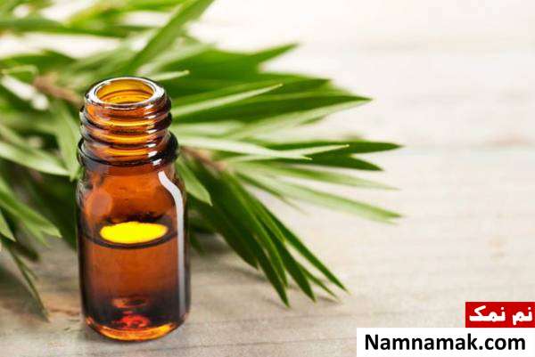 روغن درخت چای برای درد عصب دندان