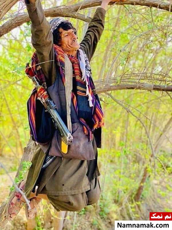 عکس های اینستاگرام نظر محمد خاشه جوان