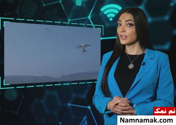 زندگینامه ندا رامش و همسرش عکس های شخصی ندا رامش
