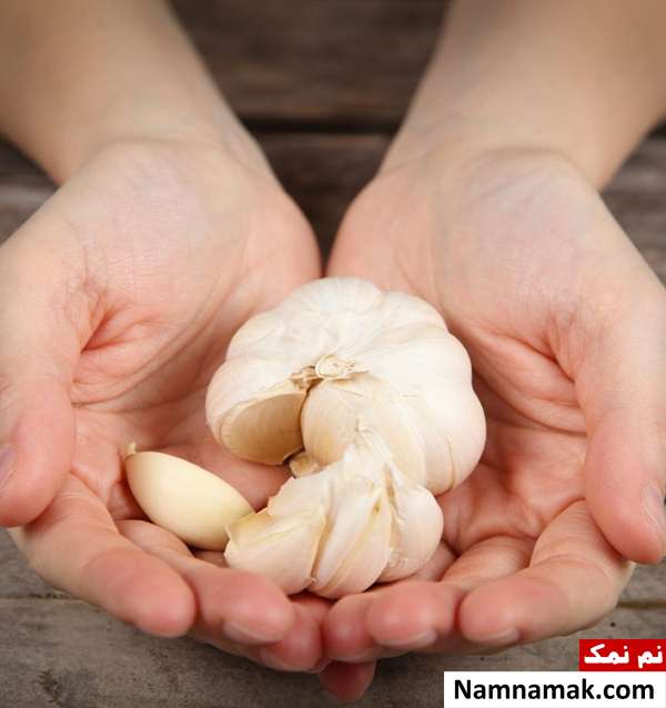 قورت دادن سیر خام برای لاغری
