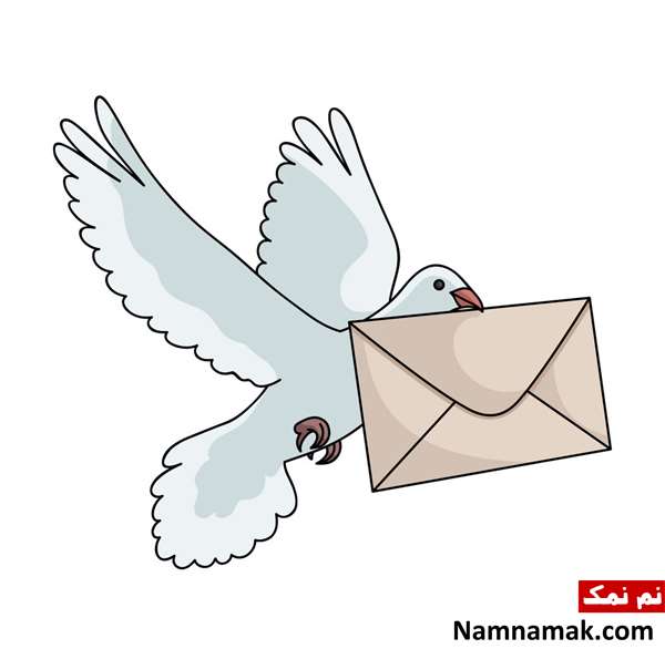 نقاشی کبوتر نامه رسان برای کودکان