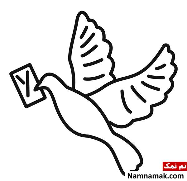 نقاشی کبوتر نامه رسان برای کودکان