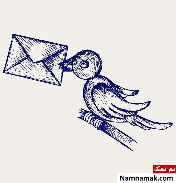 نقاشی کبوتر نامه رسان برای کودکان