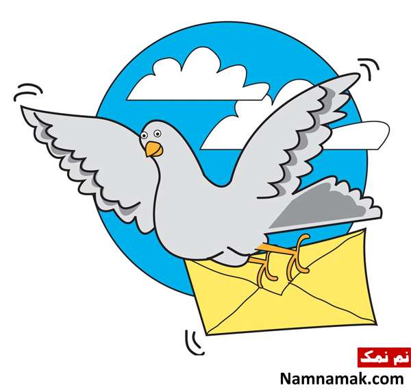 نقاشی کبوتر نامه رسان برای کودکان
