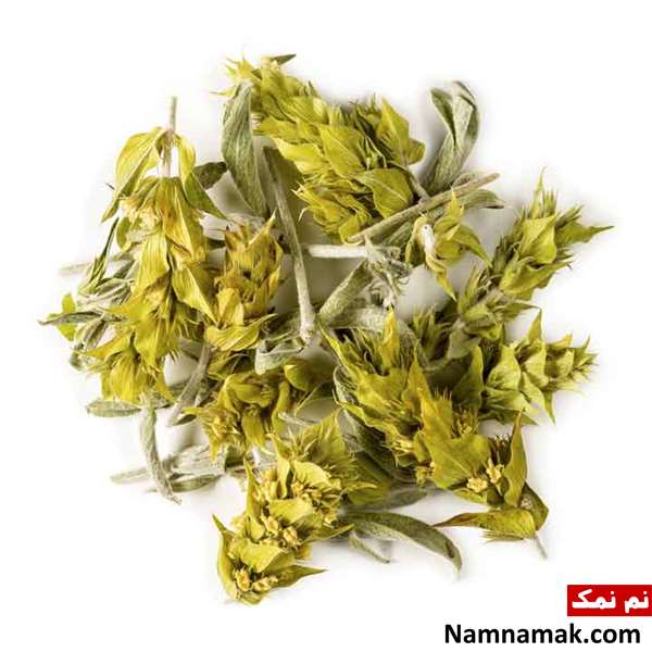 خواص چای کوهی برای ریه