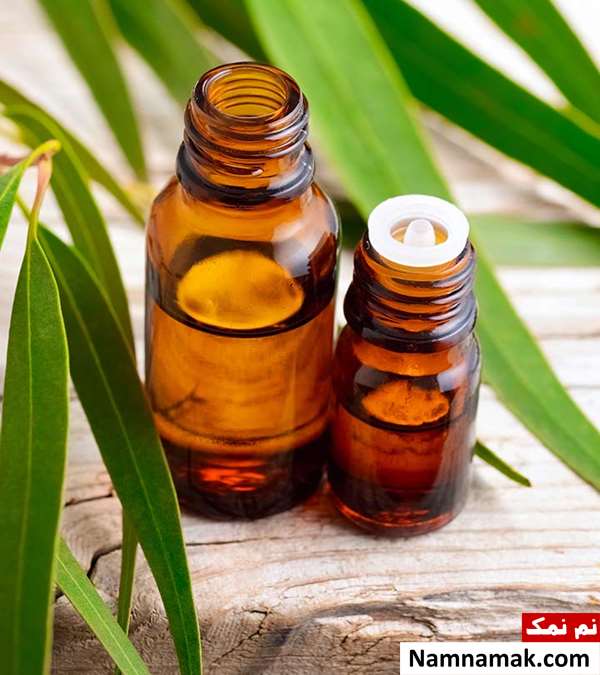 خواص روغن اکالیپتوس برای پوست و مو خواص روغن اکالیپتوس برای پوست و مو