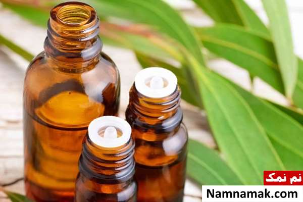 خواص روغن اکالیپتوس برای پوست و مو خواص روغن اکالیپتوس برای پوست و مو