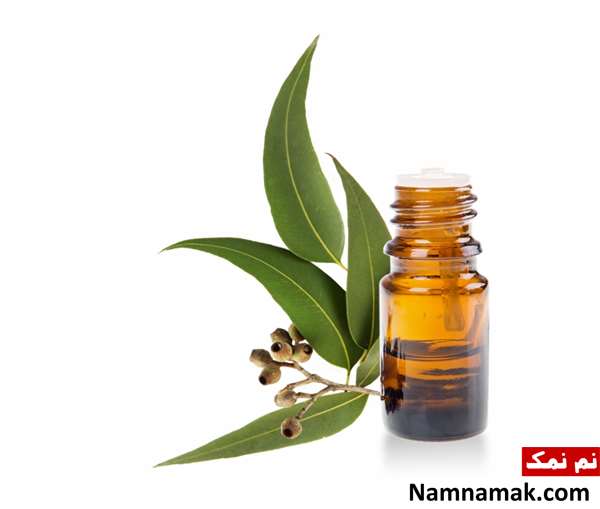 روغن اکالیپتوس برای گرفتگی بینی