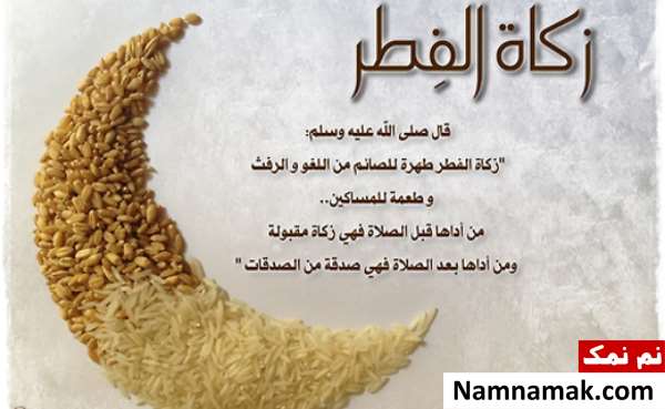 فطریه شامل چه کسانی می شود