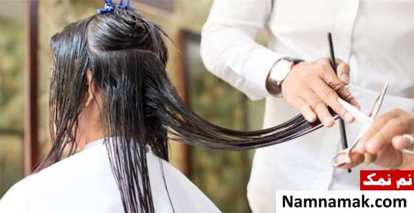 جاروبرقی و شپش جاروبرقی و شپش
