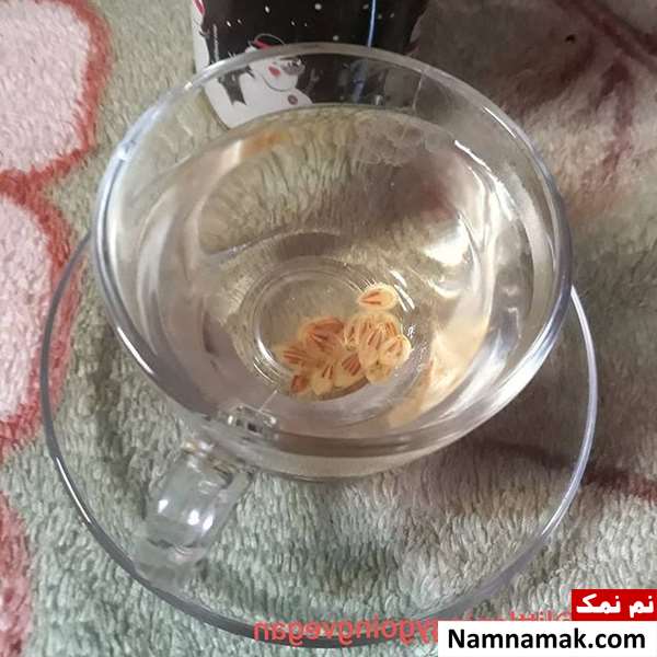 دمنوش گلپر